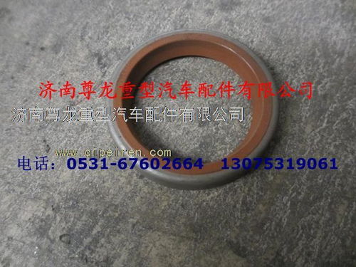 陜汽德龍油封 06.56279.029706.56279.0297圖片